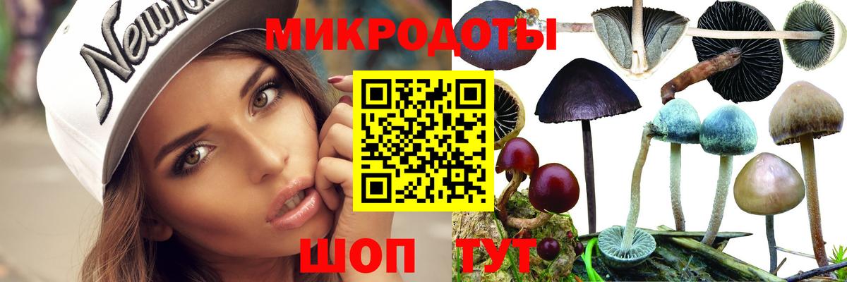Новочеркасск  купить наркоту  Вход с VPN  Галлюциногенные грибы Psilocybine cubensis 